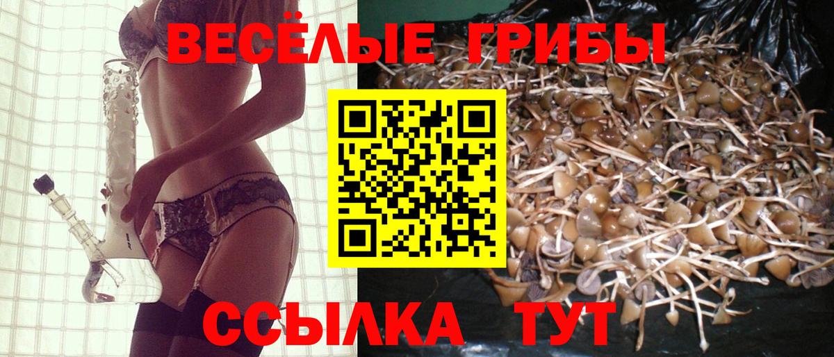 Псилоцибиновые грибы MAGIC MUSHROOMS Кизилюрт